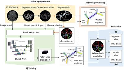 Anatomical labeling of intracranial arteries with deep learning in patients with cerebrovascular disease